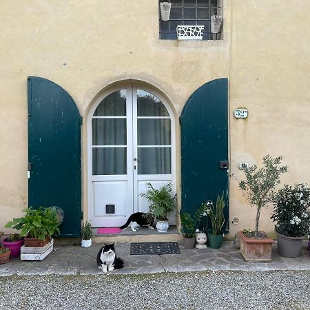 Apartament Casa Nel Chianti A Siena Ponte A Bozzone Zewnętrze zdjęcie